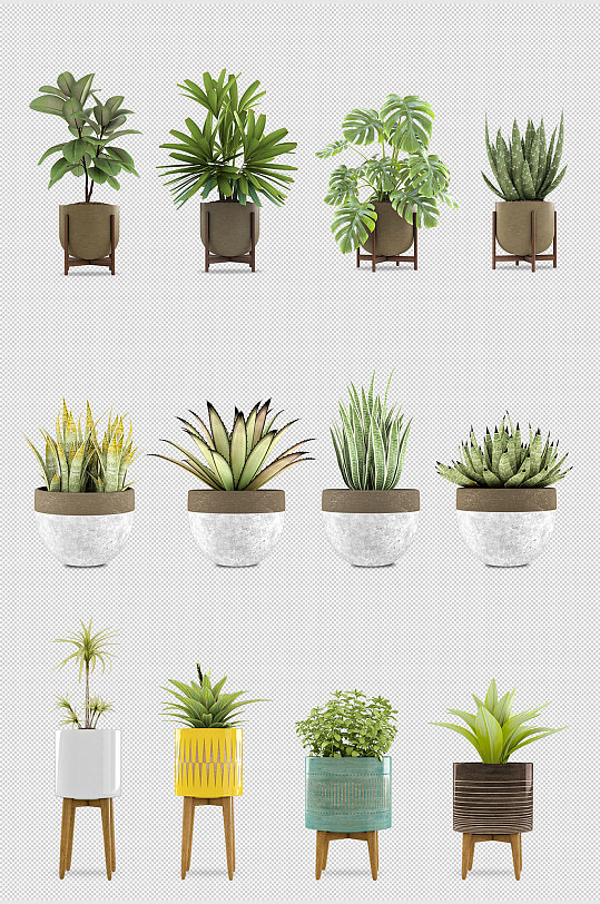 健康盆栽图片-健康盆栽素材下载-众图网