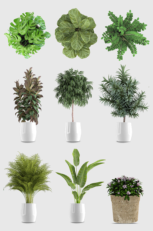 园艺元素-园艺元素图片-园艺元素素材下载-众图网