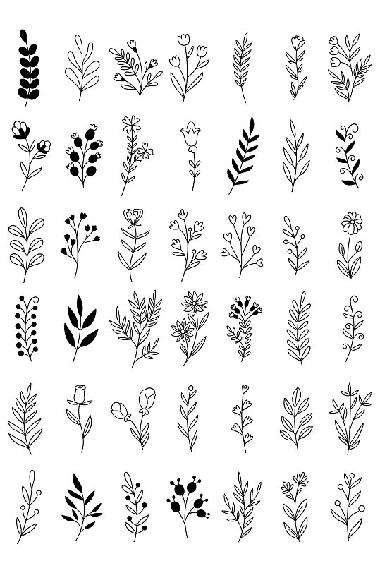 黑白线描花卉矢量元素