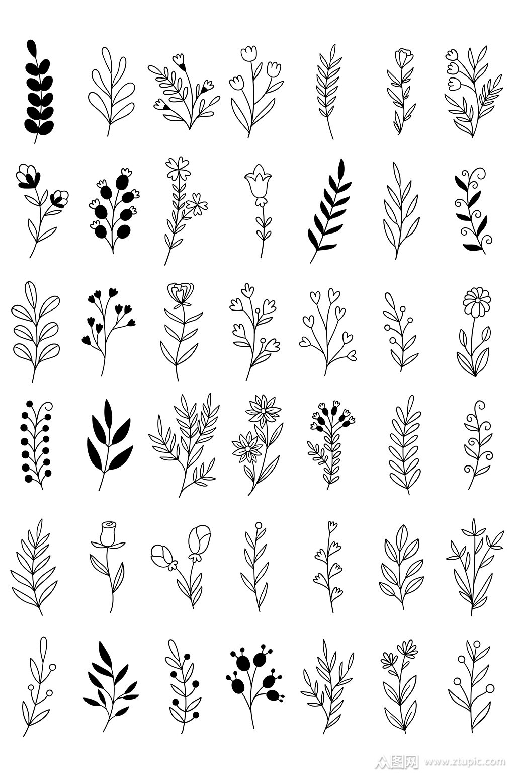 黑白线描花卉矢量元素模板下载-编号1123418-众图网