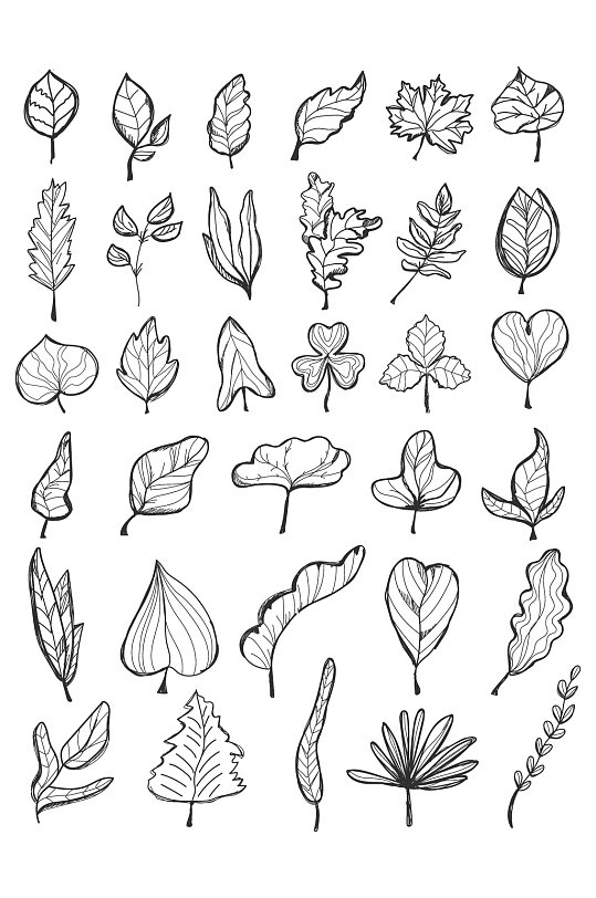 手绘树叶矢量元素-众图网