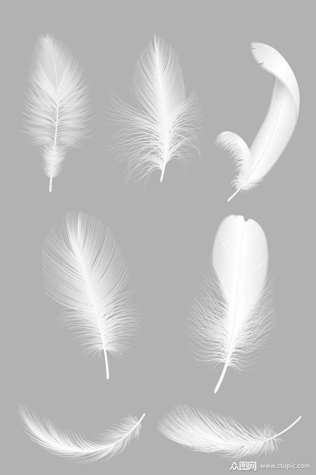 白色羽毛矢量元素