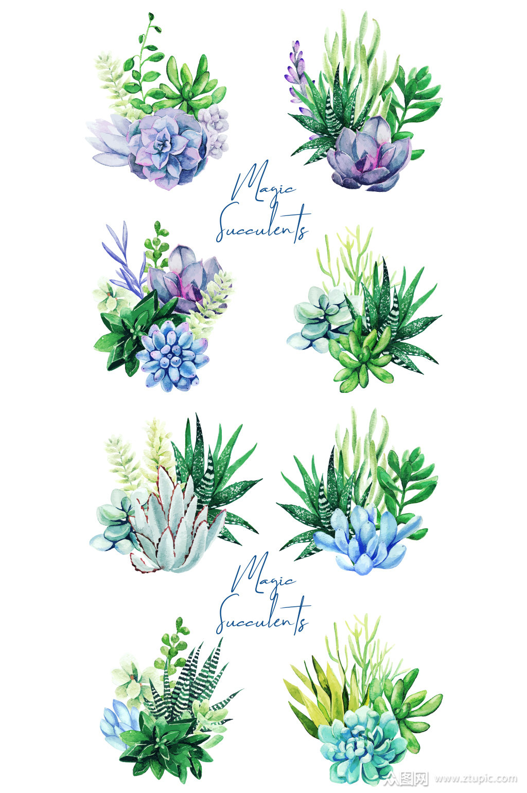 手绘彩铅多肉植物元素