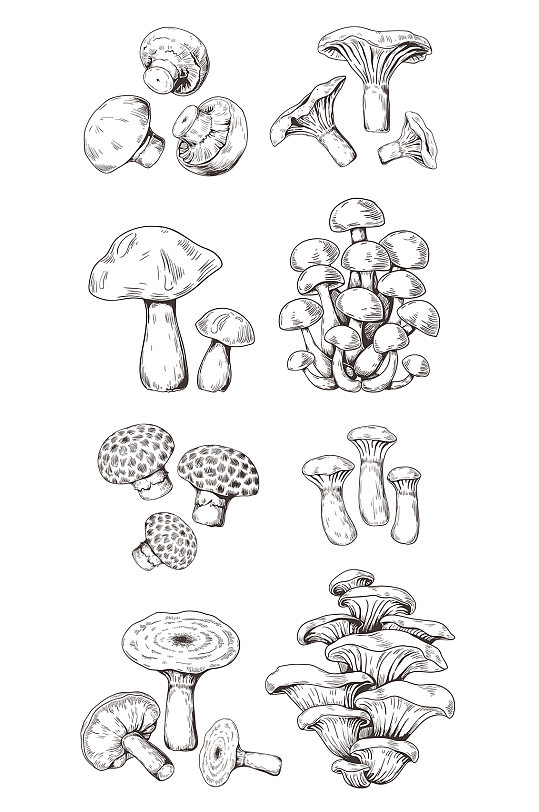 手绘线描蘑菇元素