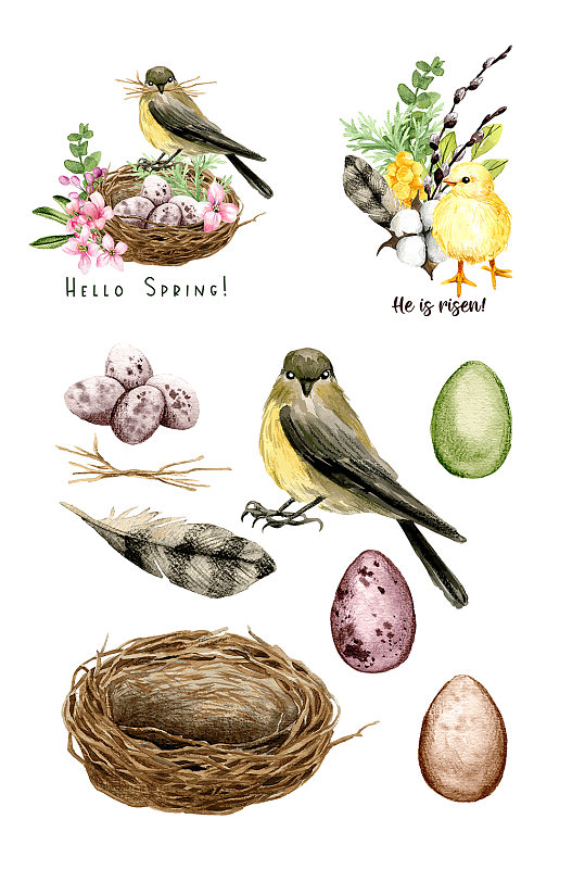 水彩手绘花鸟与鸟巢元素