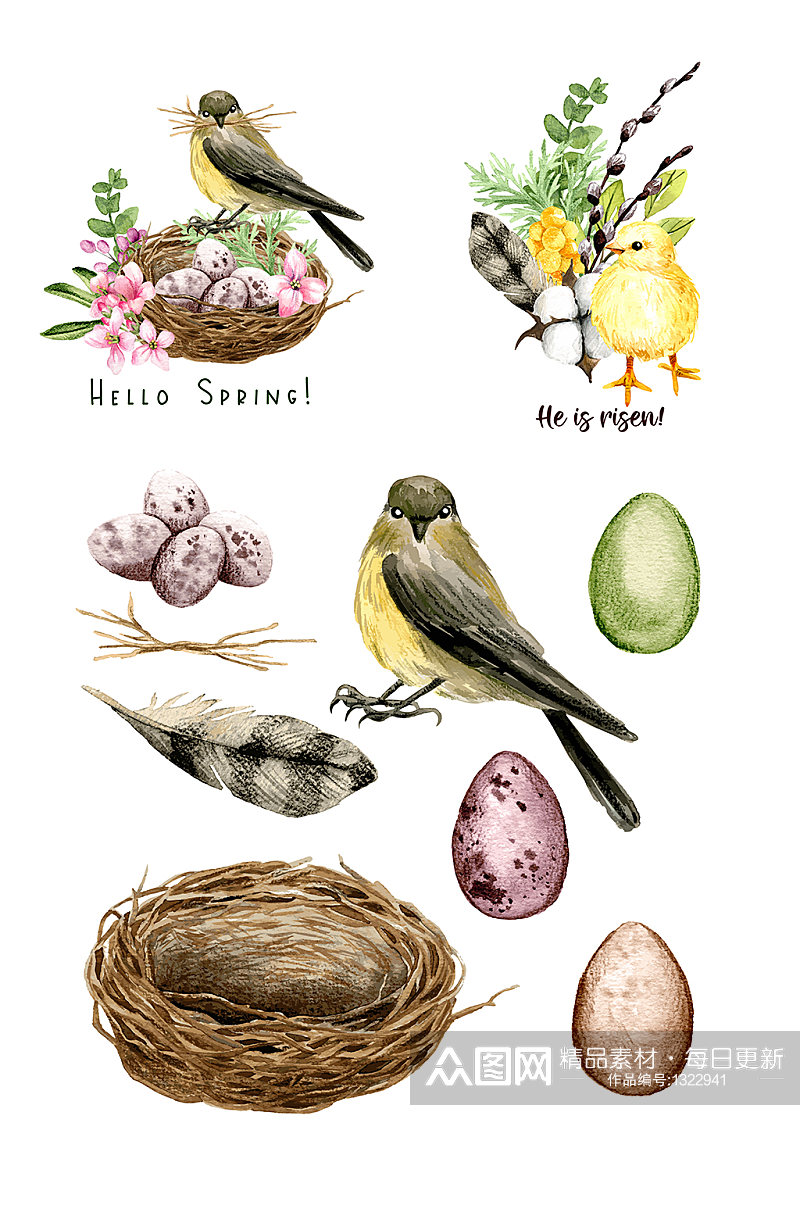 水彩手绘花鸟与鸟巢元素素材