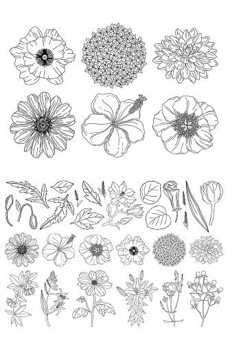 线描手绘花卉元素