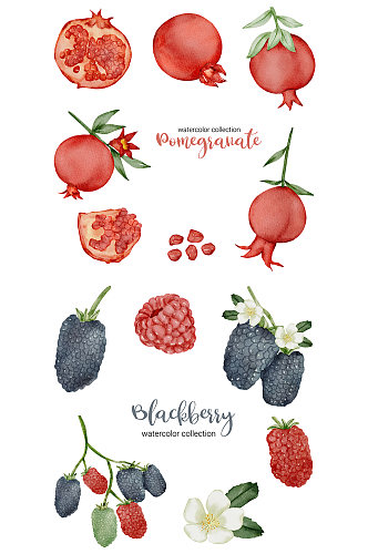 水彩手绘红石榴树莓元素