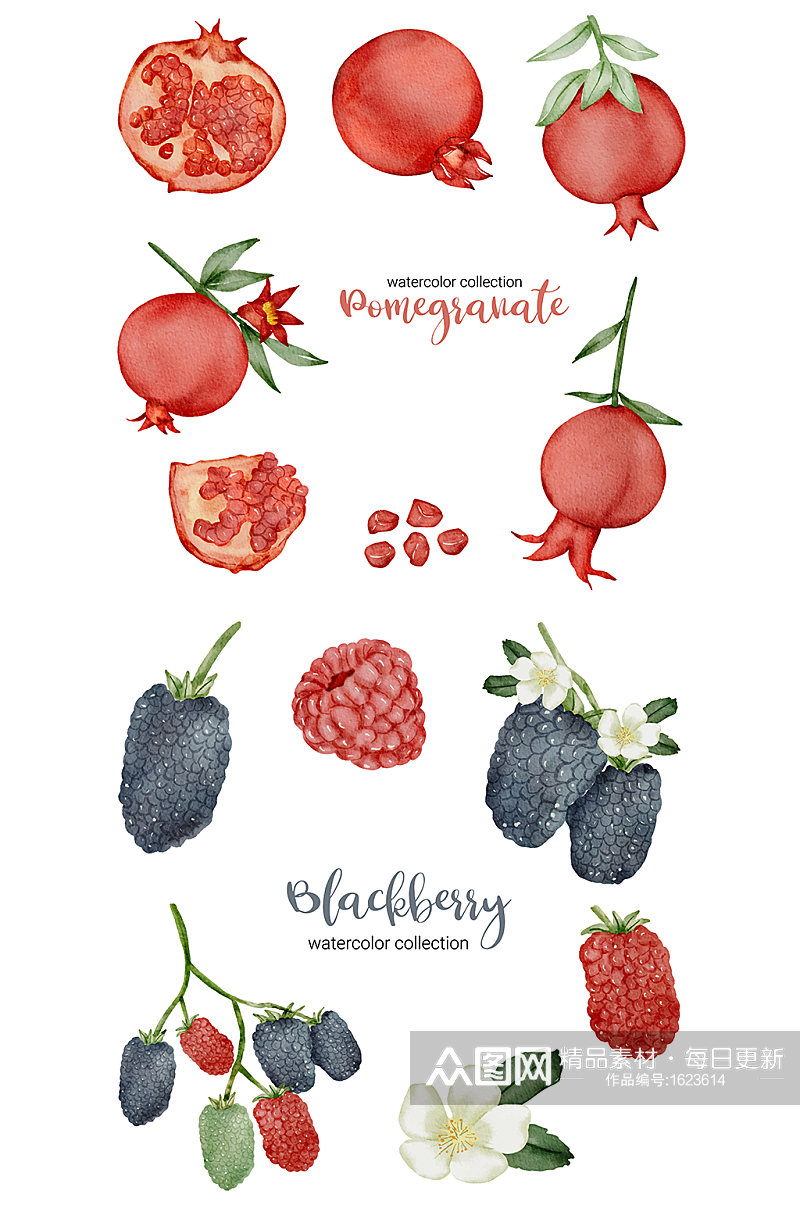 水彩手绘红石榴树莓元素素材