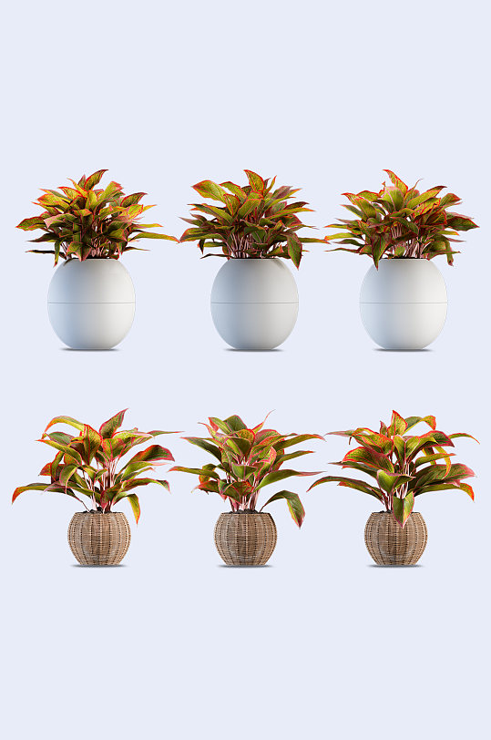 盆栽psd图片-盆栽psd素材下载-众图网