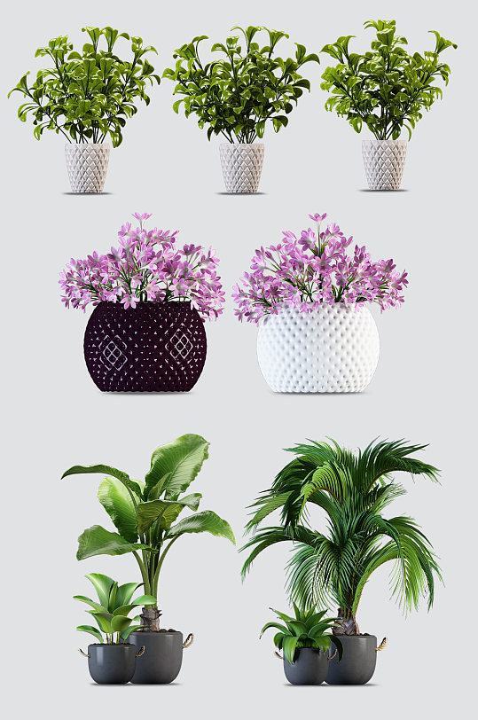 盆栽psd图片-盆栽psd素材下载-众图网