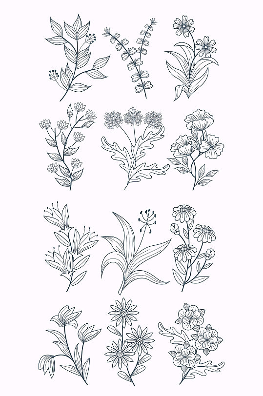 线描花卉花草矢量元素