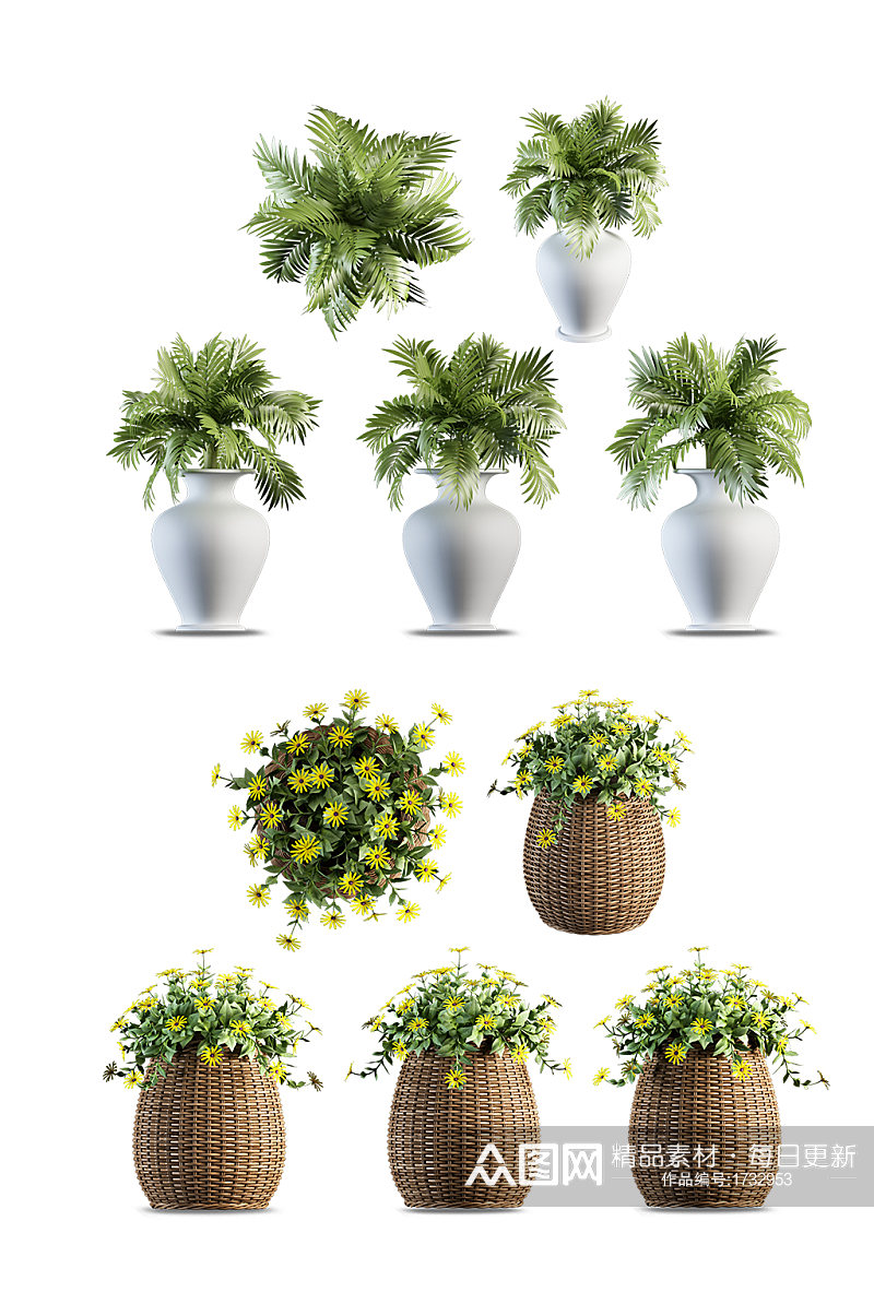家居盆栽花卉全景展示PSD免抠元素素材