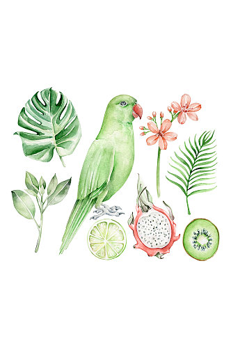 手绘创意鹦鹉与水果花卉元素