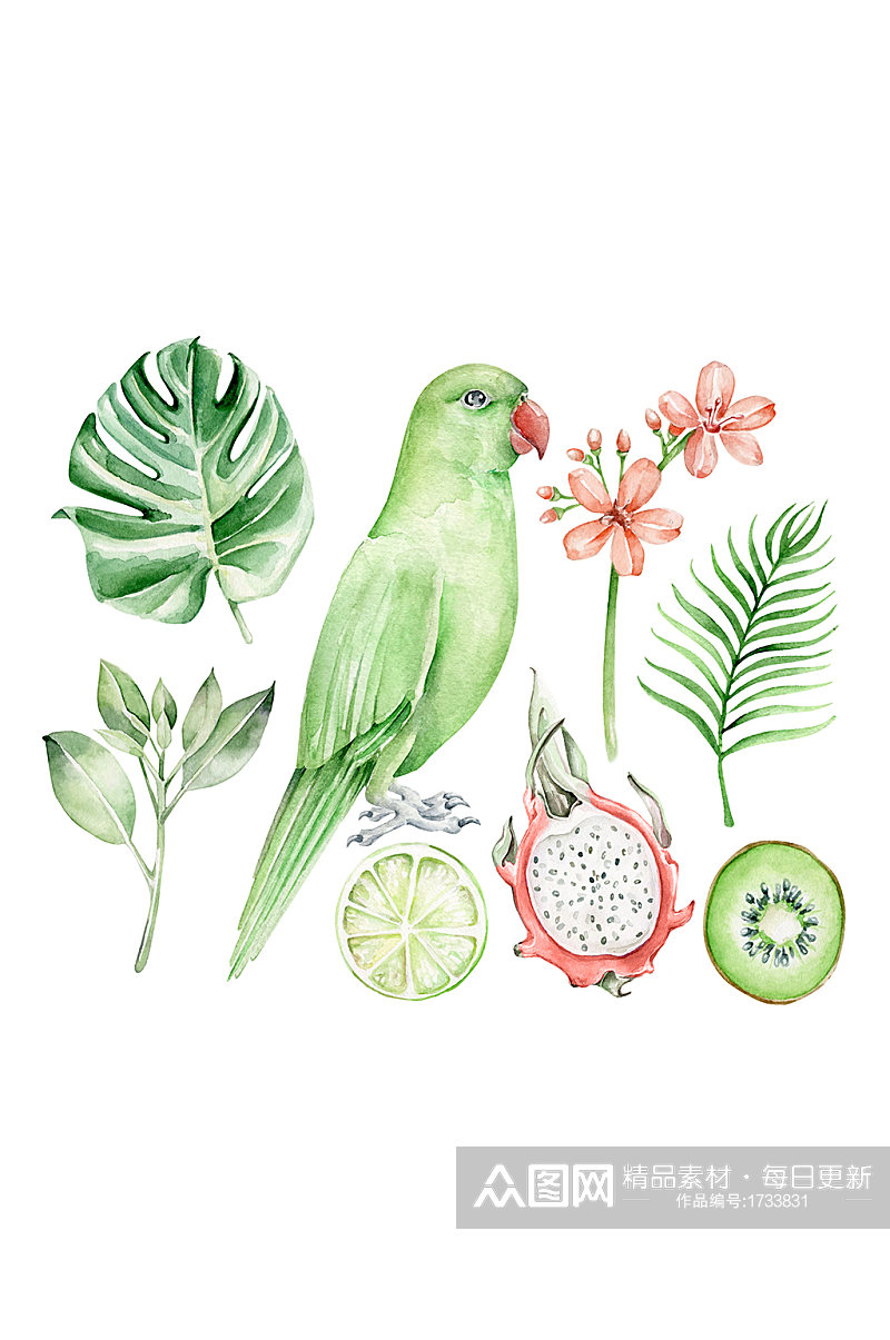 手绘创意鹦鹉与水果花卉元素素材