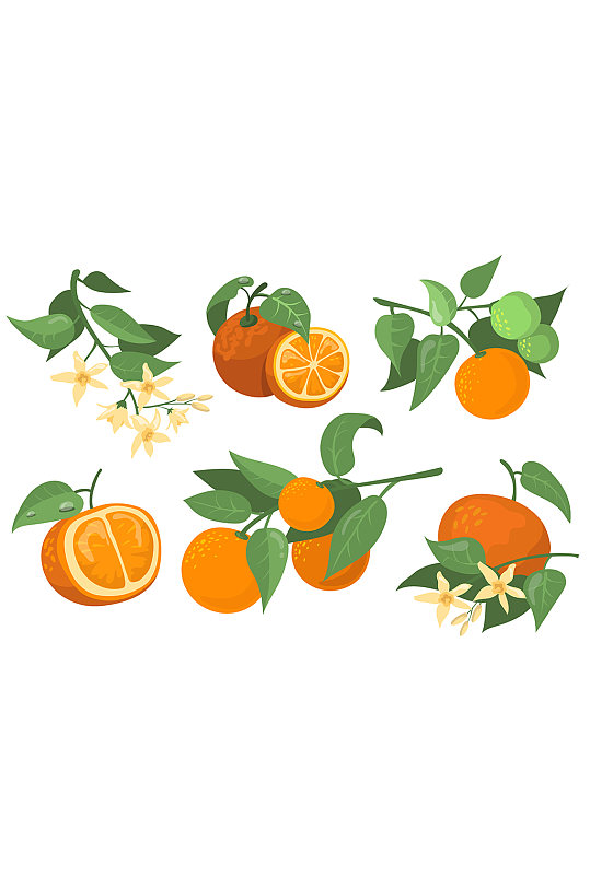 橘子橙子矢量元素