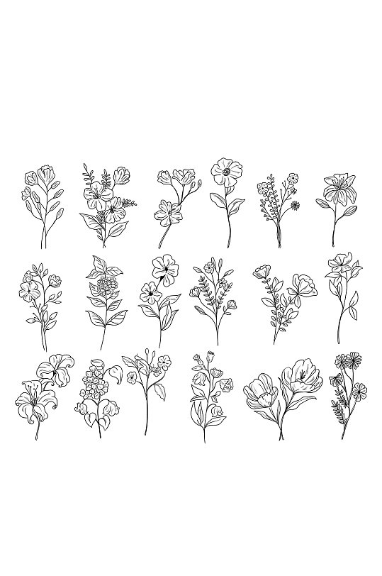 素描线性白描花卉元素