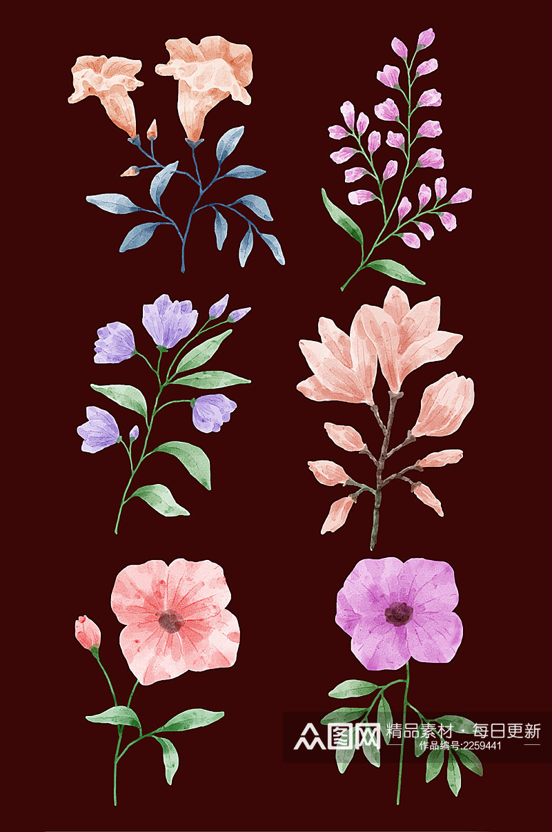 精美花卉水彩写真元素素材
