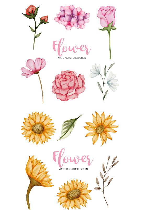 手绘鲜花小雏菊花卉手绘元素