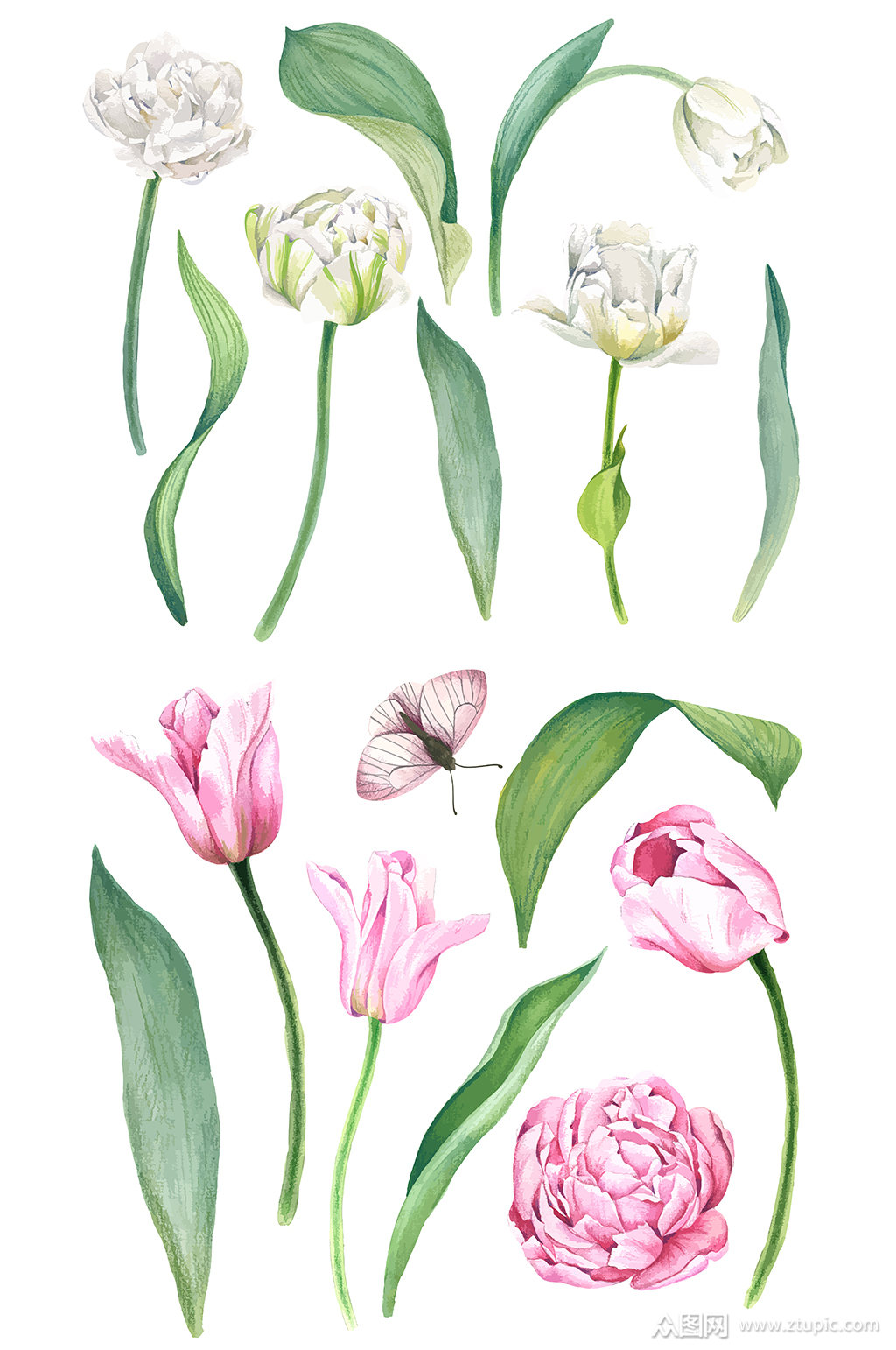 手绘精美水彩花卉与局部元素素材