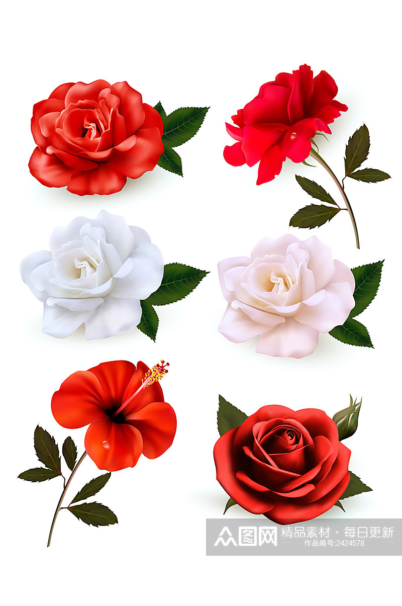 写实风格玫瑰扶桑花元素素材
