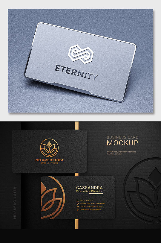 高档企业vi名片样机贴图