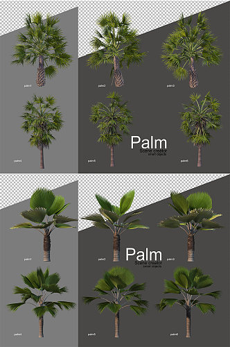 热带树木棕榈树PSD免抠元素