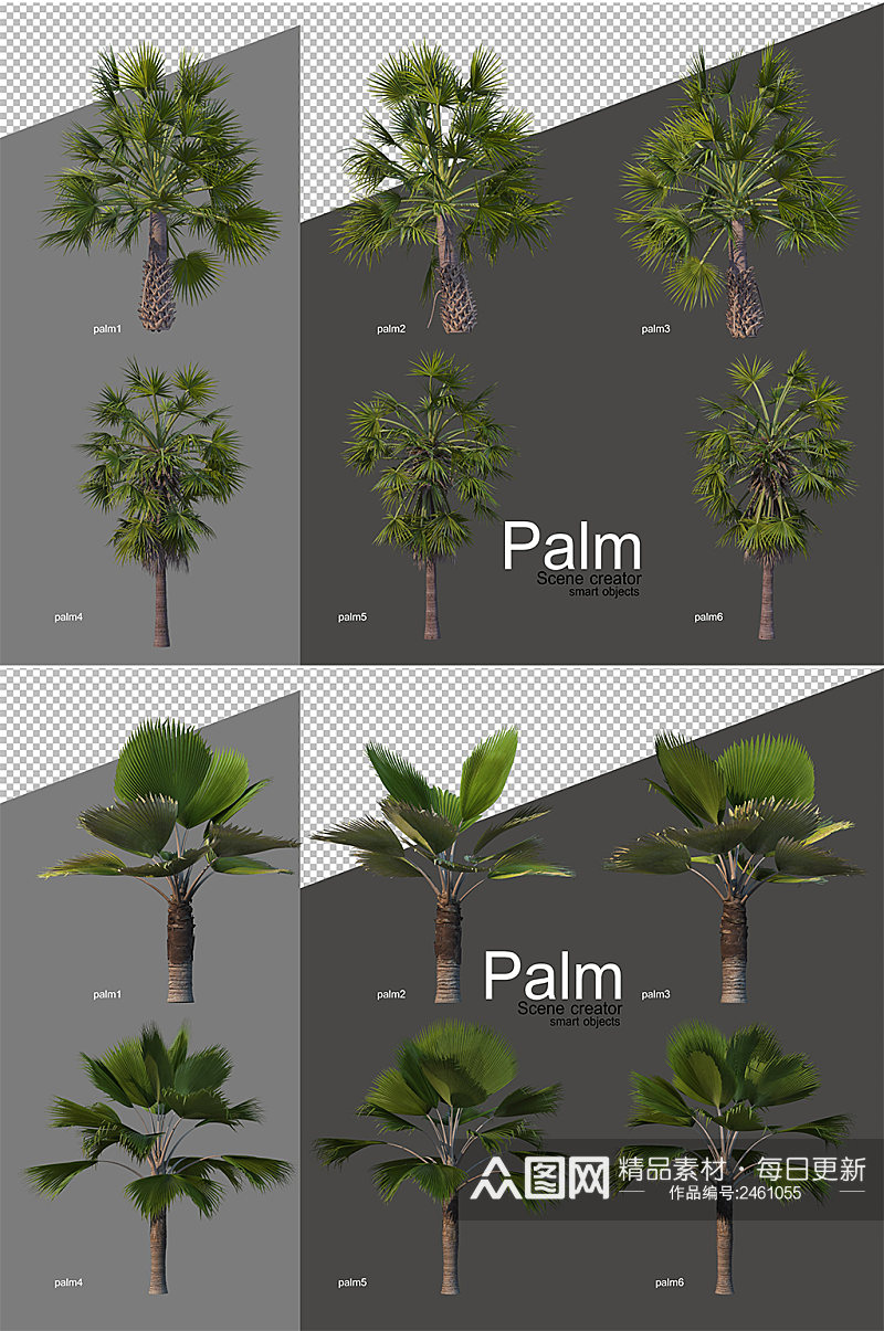 热带树木棕榈树PSD免抠元素素材