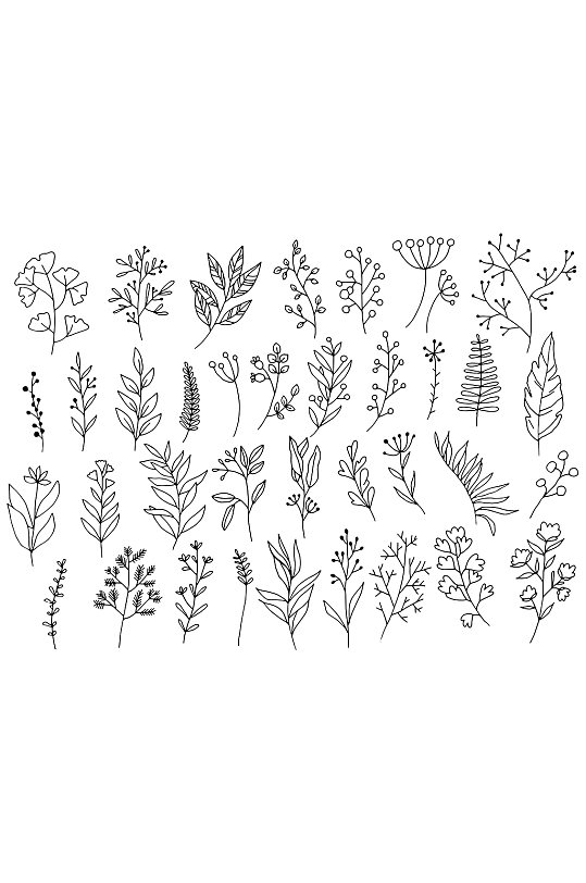 手绘线描花卉花草元素