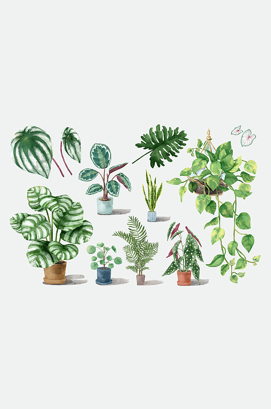 手绘水彩盆栽绿植矢量元素