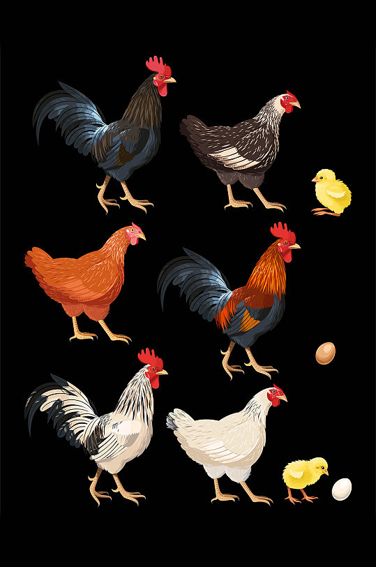 卡通手绘母鸡公鸡小鸡崽与鸡蛋元素