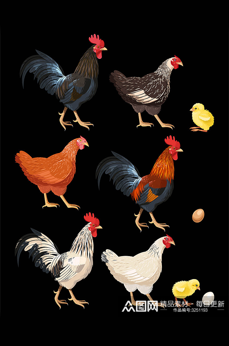 卡通手绘母鸡公鸡小鸡崽与鸡蛋元素素材