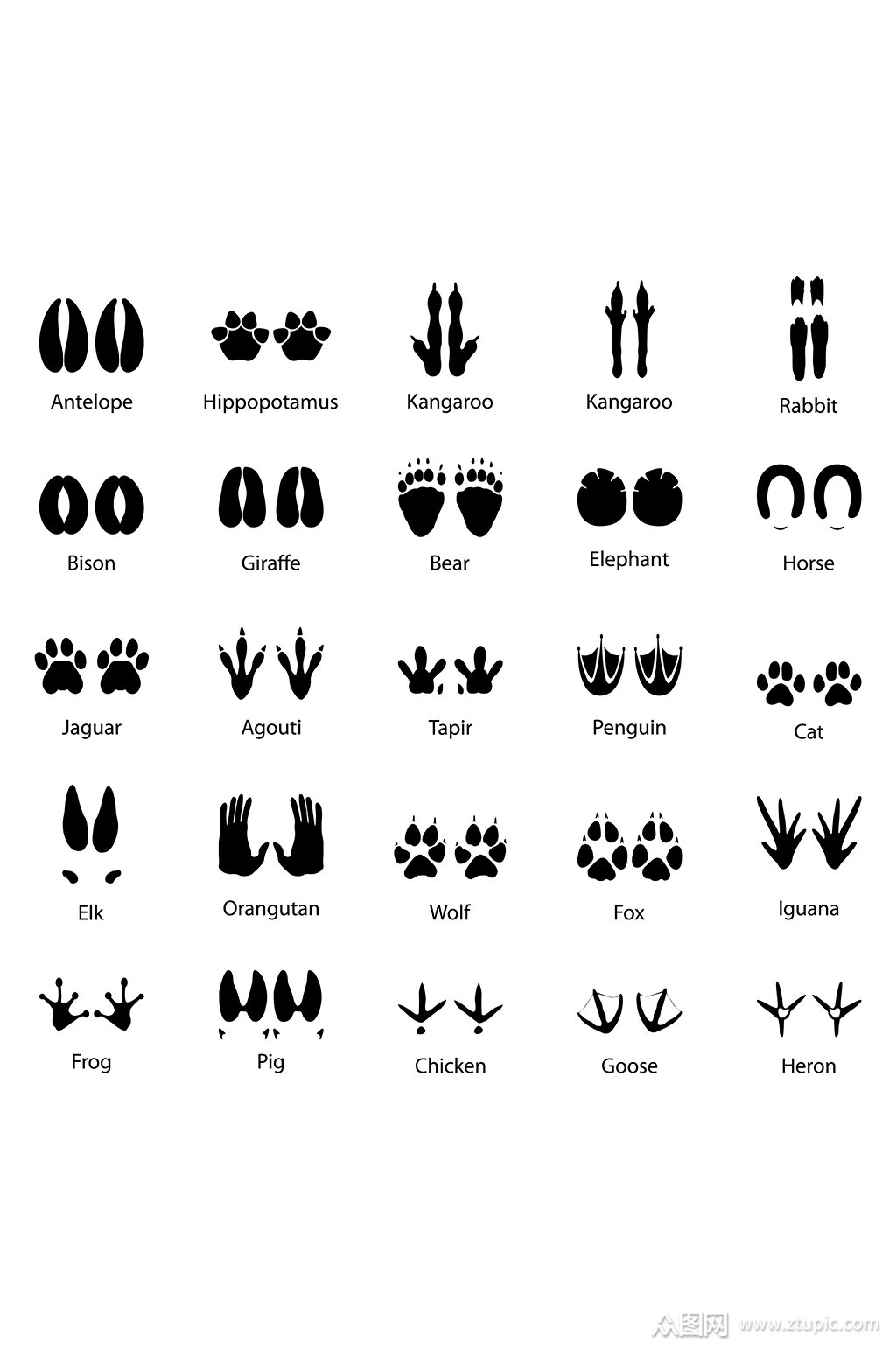 动物脚印剪影矢量元素素材