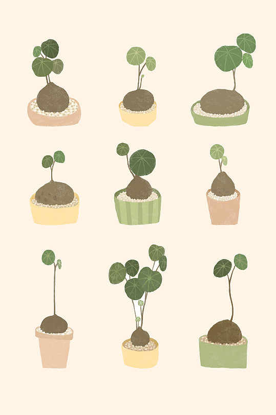 可爱金钱草矢量盆栽元素