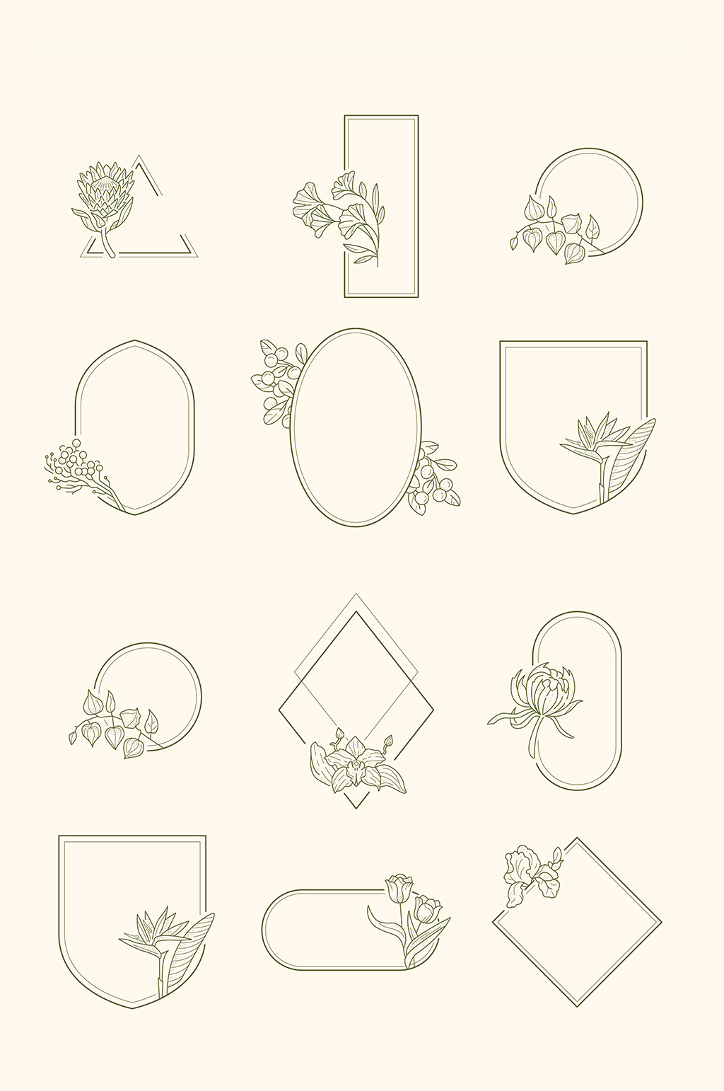 素描线描花卉边框花边元素