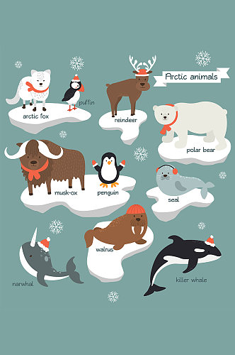 可爱北极小动物元素