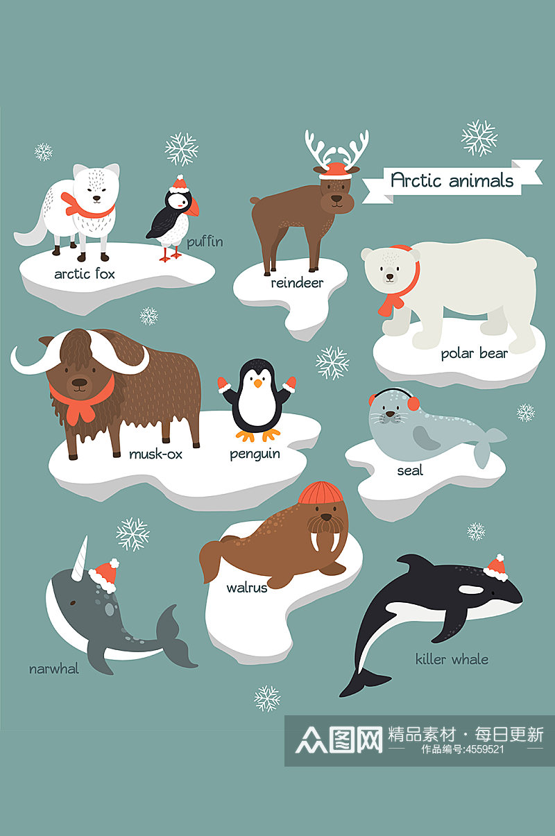 可爱北极小动物元素素材