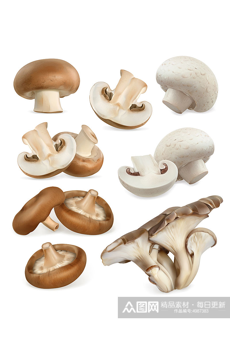 香菇蘑菇矢量免抠小元素素材