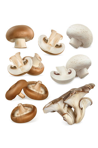 香菇蘑菇矢量免抠小元素