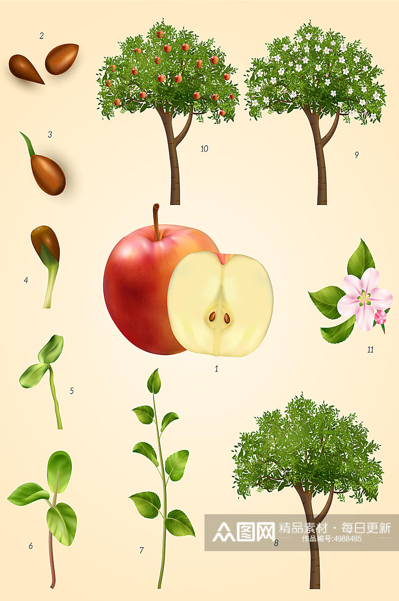 苹果树木矢量免抠小元素素材