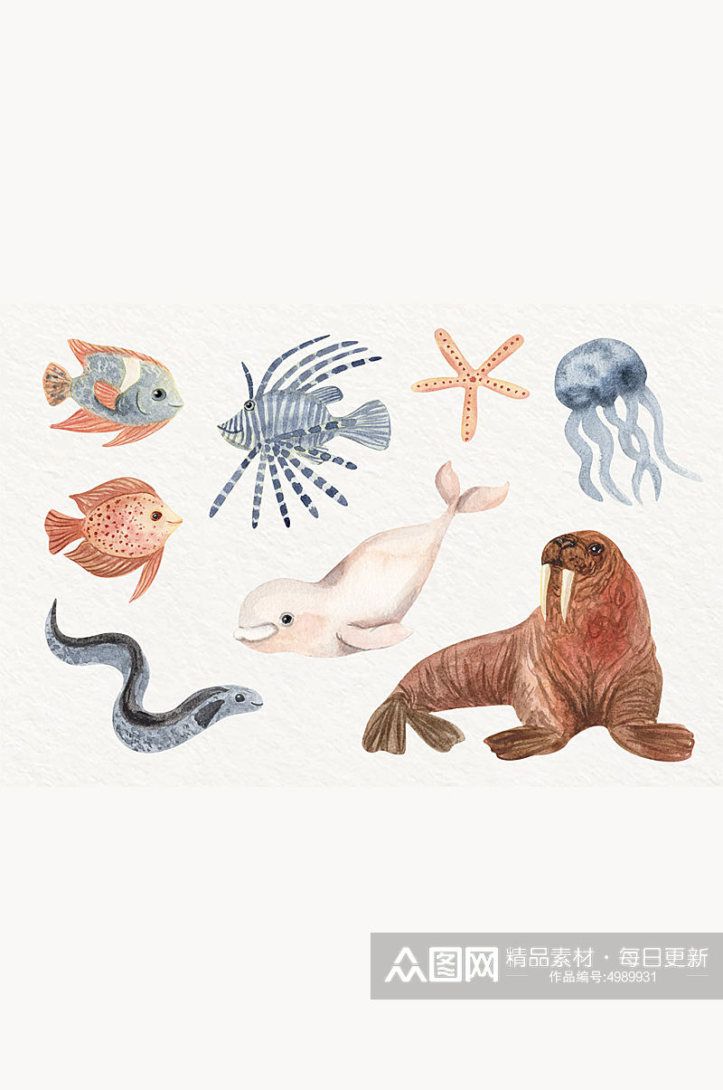 海洋生物插画免抠小元素素材