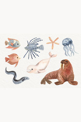 海洋生物插画免抠小元素