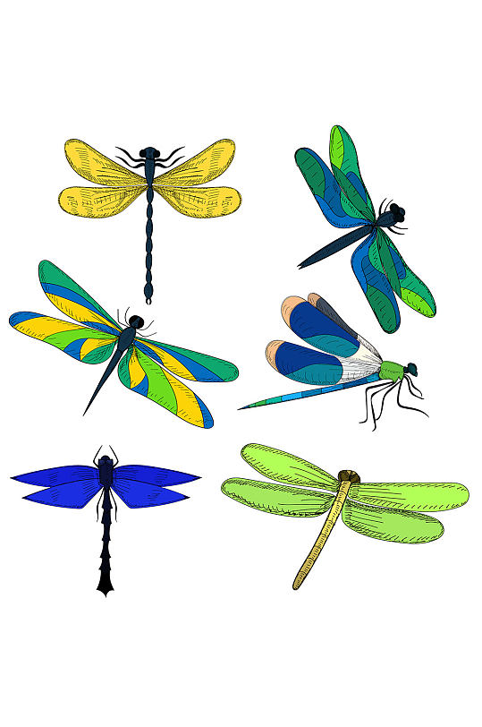 蜻蜓插画免抠小元素-众图网