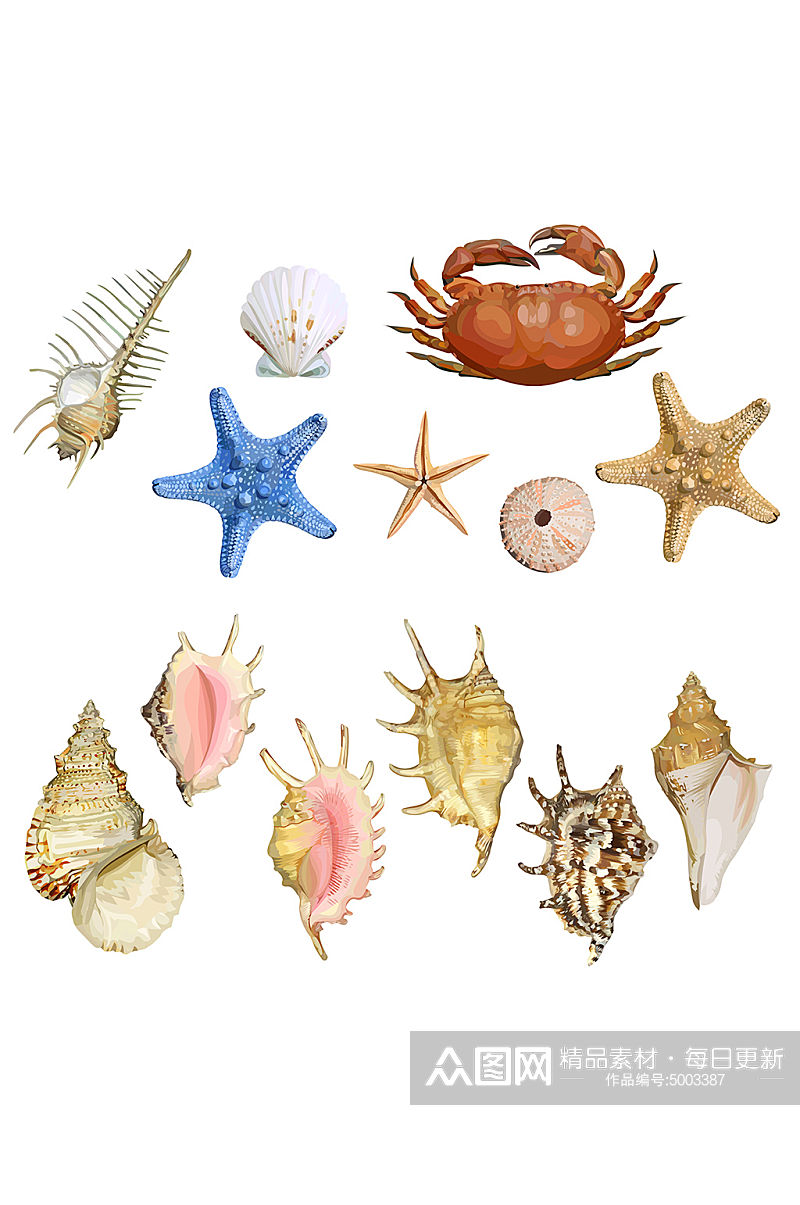 海星海螺螃蟹免抠小元素素材