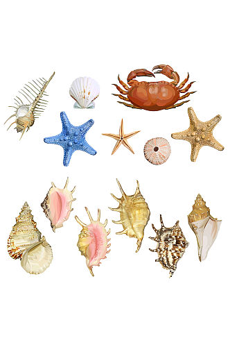 海星海螺螃蟹免抠小元素