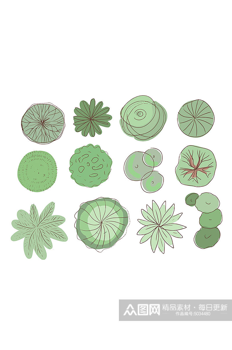 绿色植物插画矢量免抠元素素材