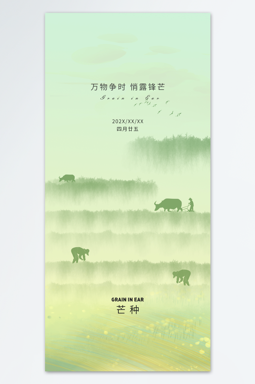 芒种节气精致创意海报素材