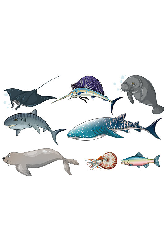 不同种类海洋生物的图解矢量