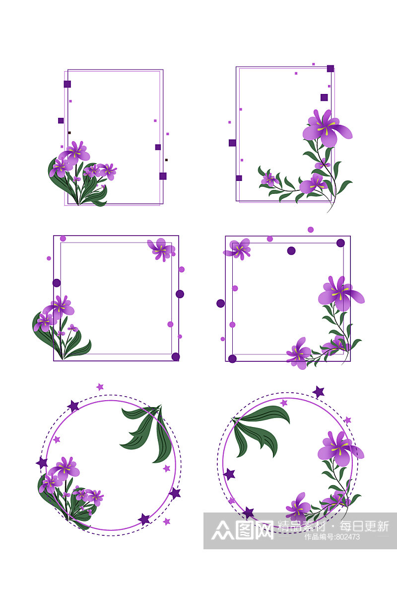 春夏紫鸢花蜂鸟波点双线简约边框素材