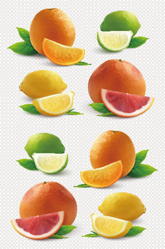 柑橘类水果柠檬葡萄柚矢量
